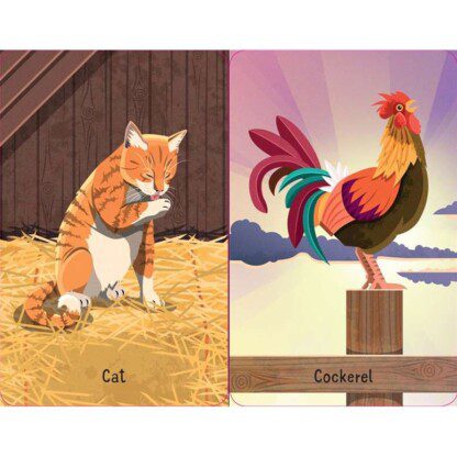 Snap - Farm (Usborne) - Image 2