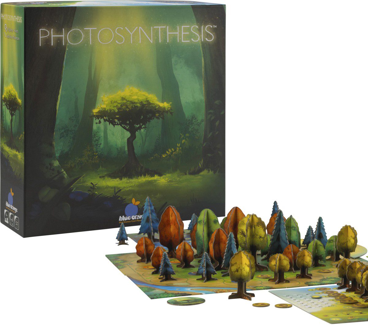 Photosynthesis - Image 2