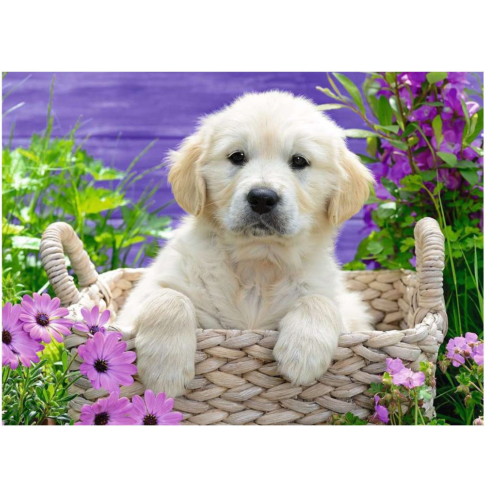 Sweet Golden Retriever Puzzle - 500pc - Image 2