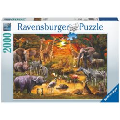 Gathering At The Waterhole - 2000pc