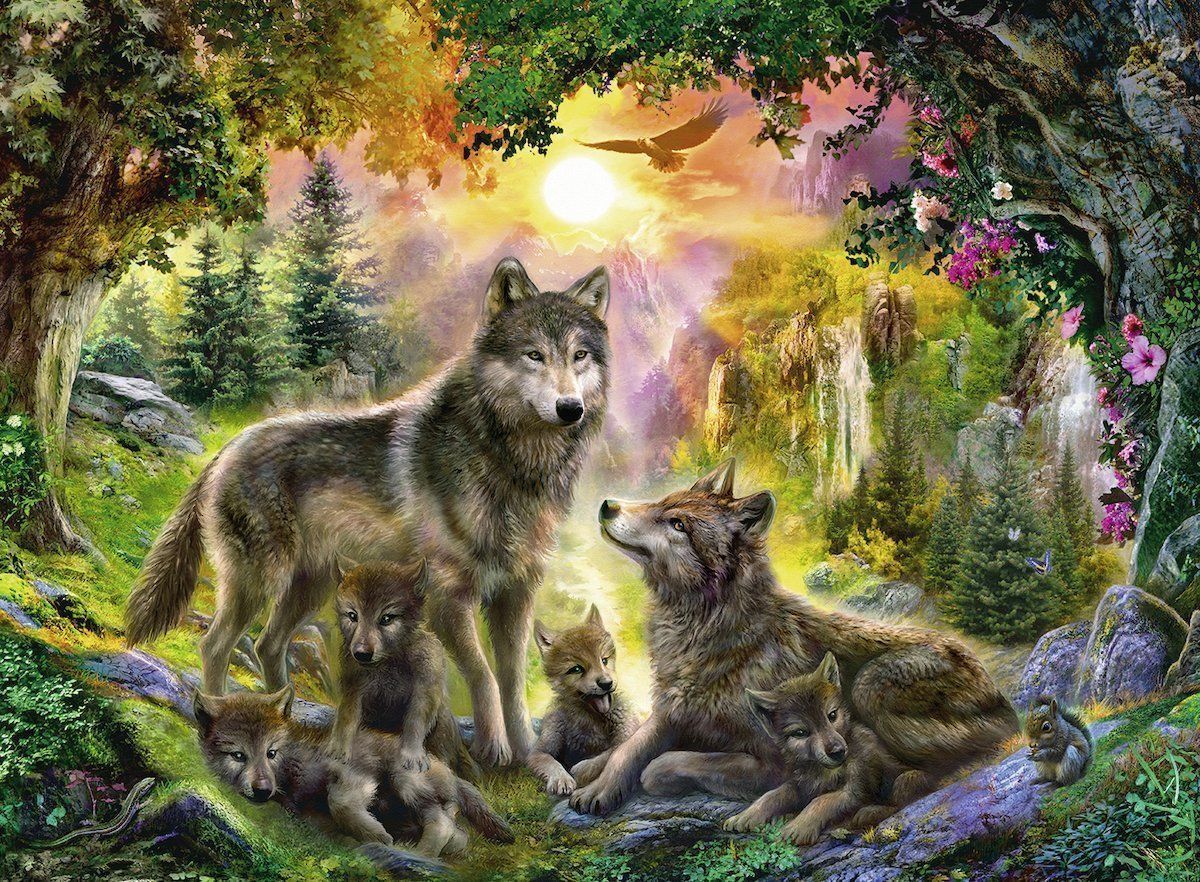 Wolf Family in the Sunshine - 500pc - Image 2