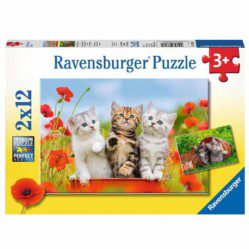 Kitten Adventures - 2x12pc