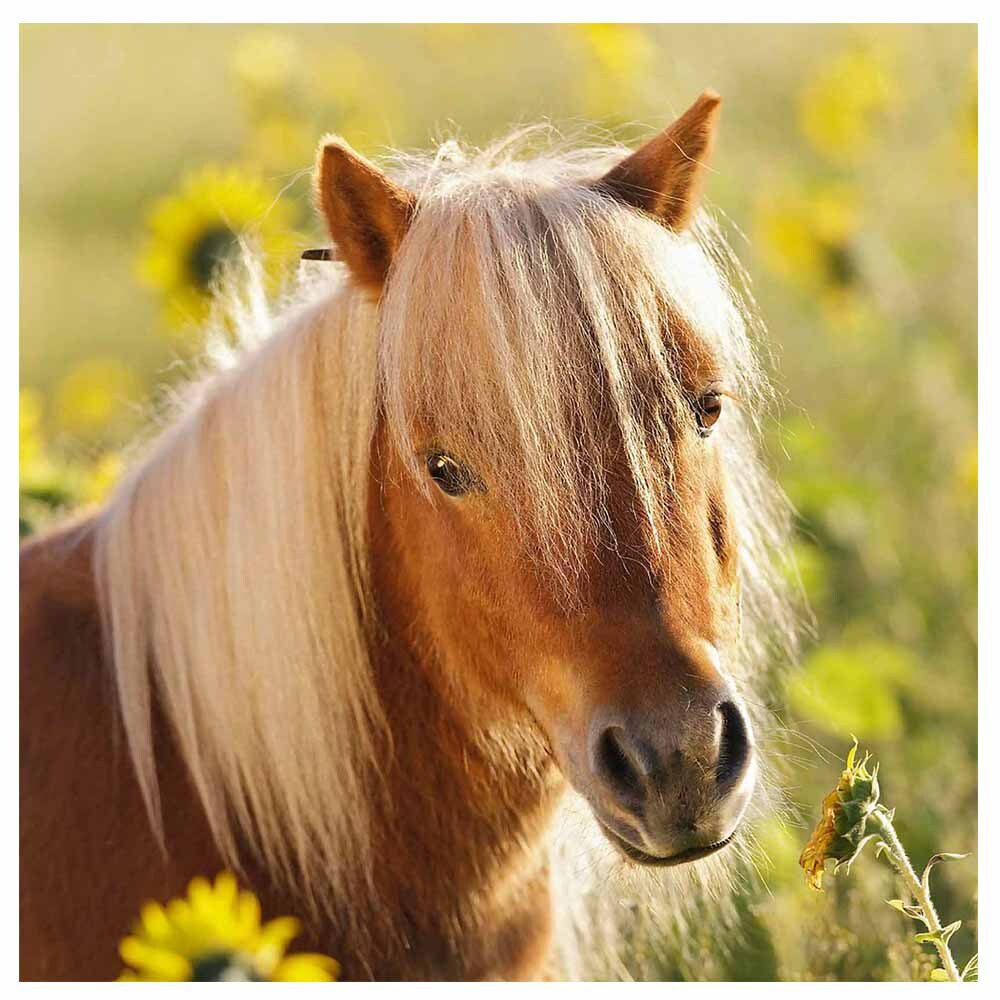 Loving Horses - 3x49pc - Image 2