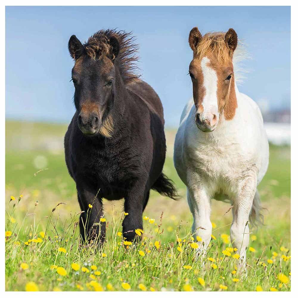 Loving Horses - 3x49pc - Image 3