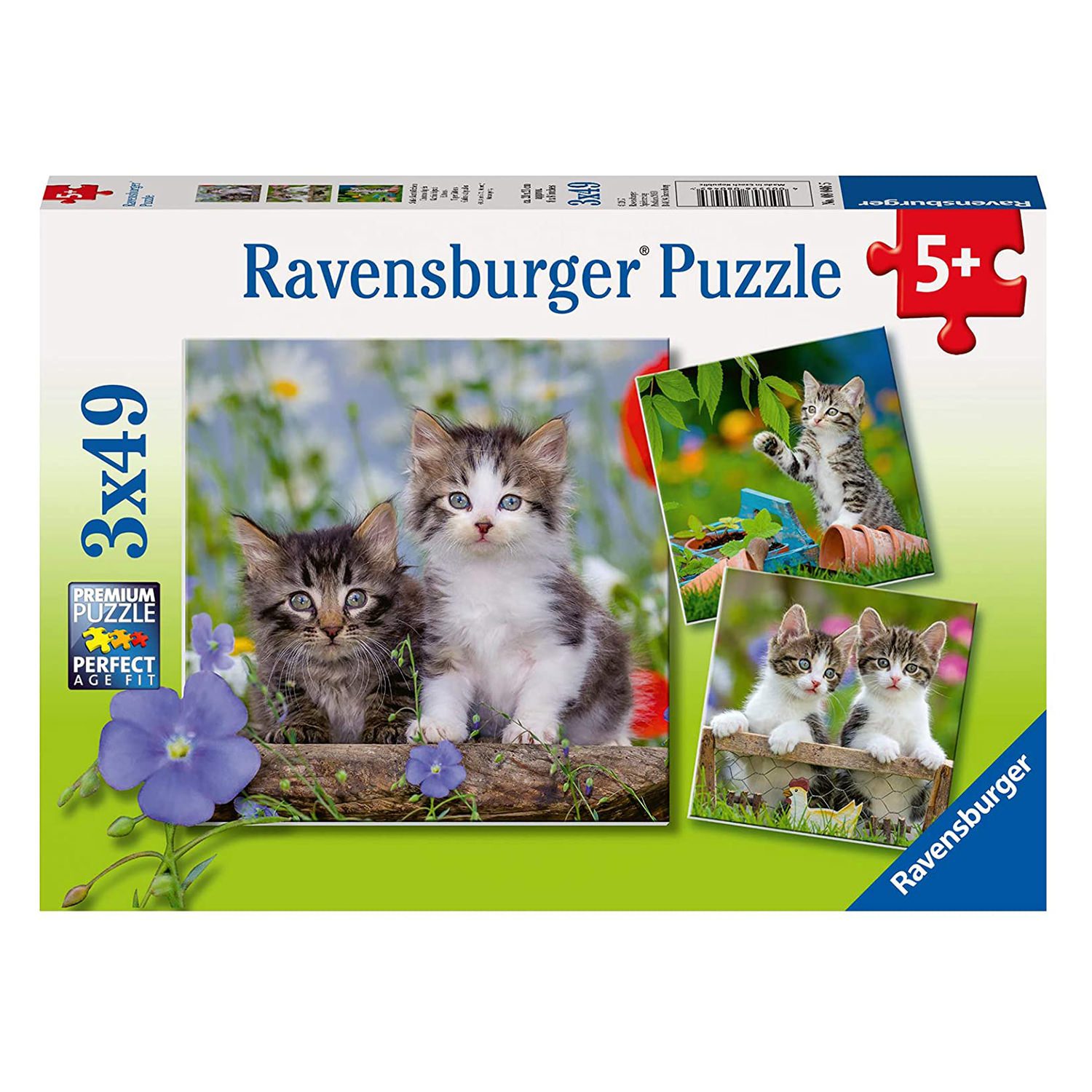Kittens - 3x49pc