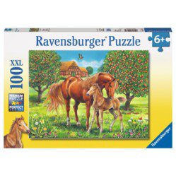 Horses In The Field - 100pc