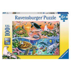 Beautiful Ocean - 100pc