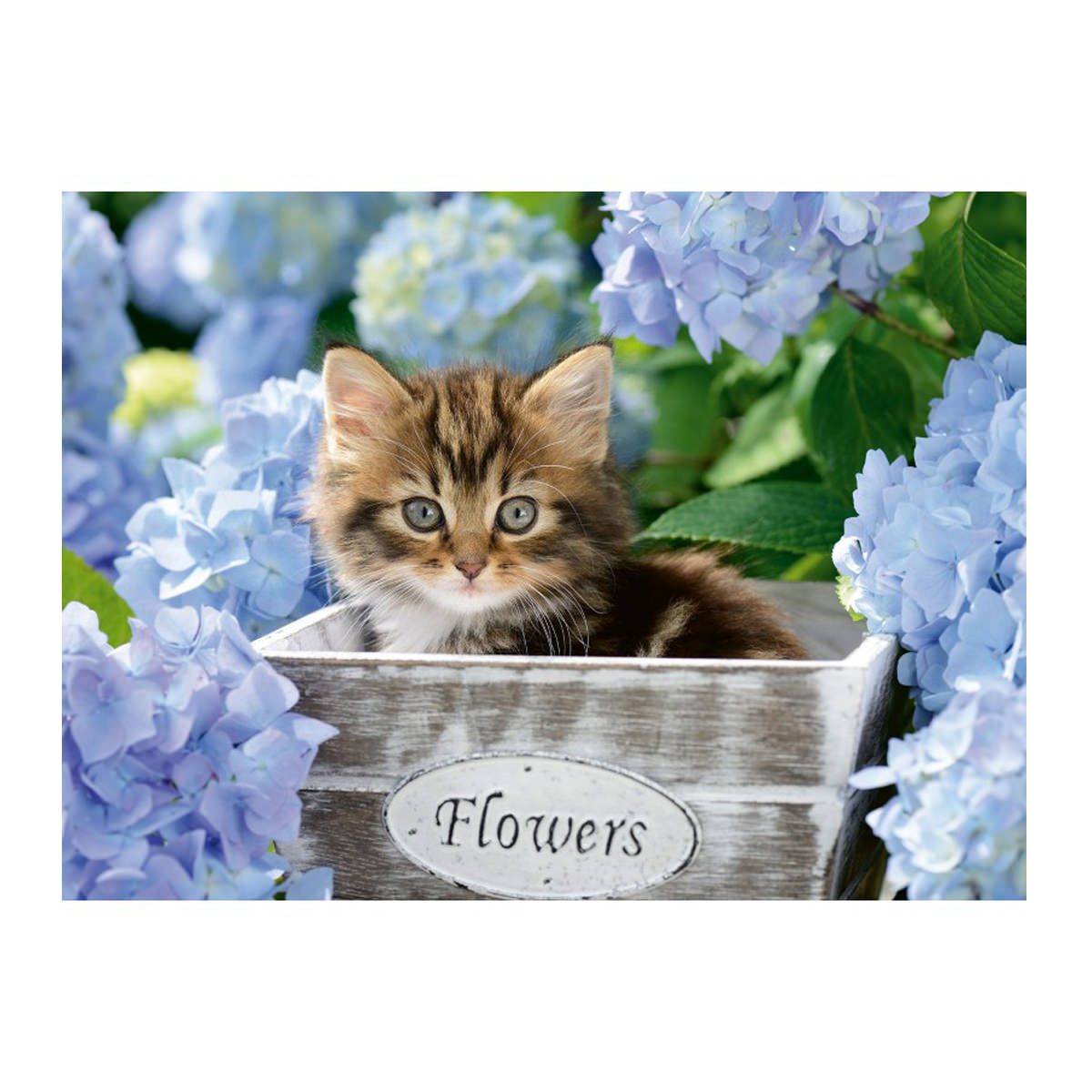 Tortoiseshell Kitty - 300pc - Image 2