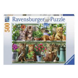 Cats on the Shelf - 500pc