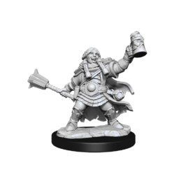D&D Frameworks - Dwarf Cleric Female