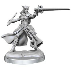 D&D Frameworks - Tiefling Rogue Female
