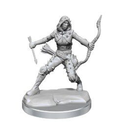 D&D Frameworks - Human Rogue Female