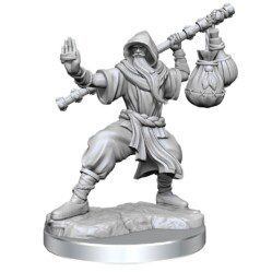 D&D Frameworks - Human Monk Male