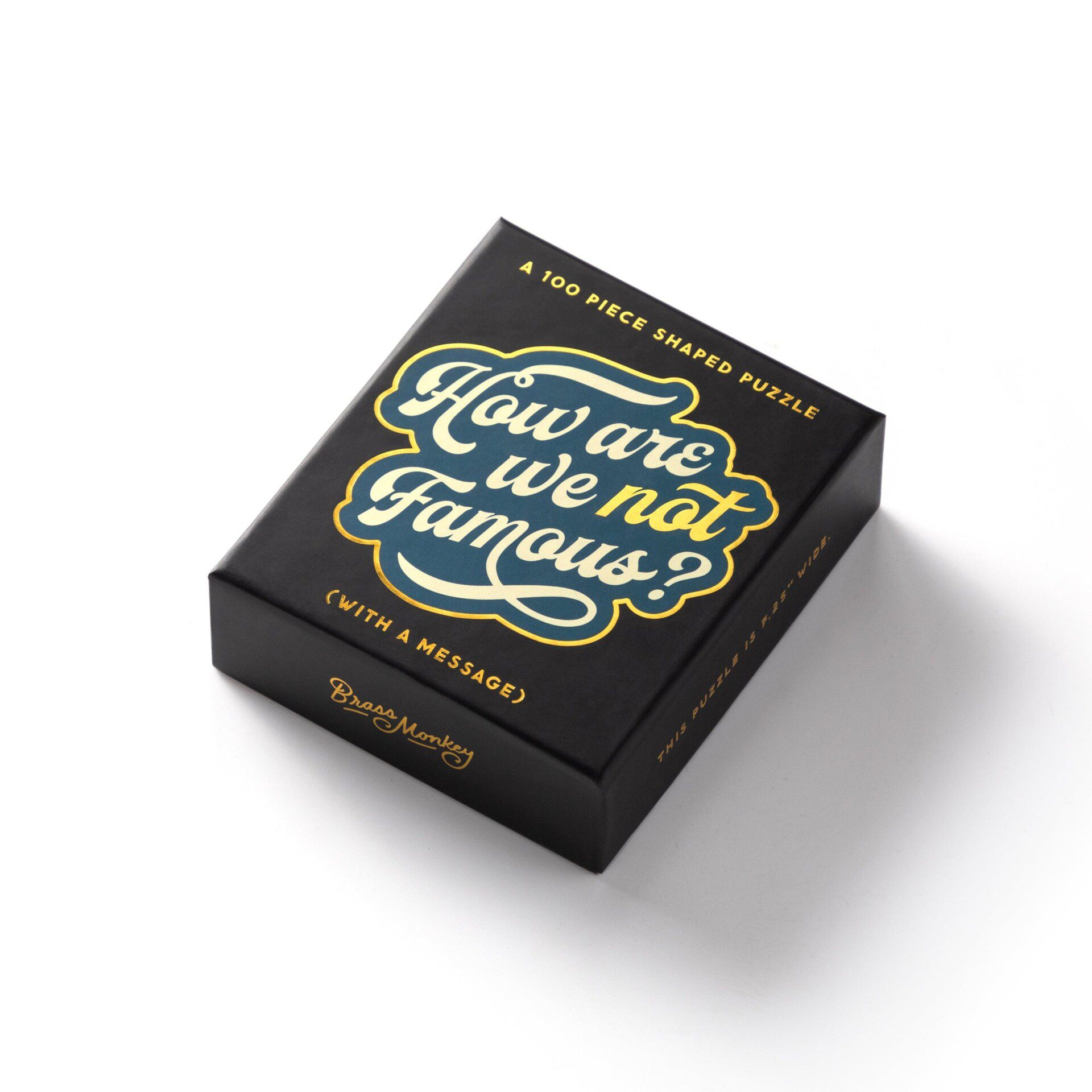 How Are We Not Famous 100pc Mini Puzzle - Image 2