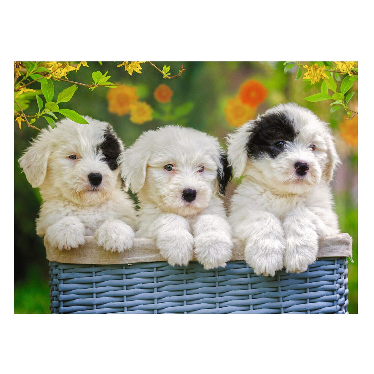 Cuddly Puppies - 200pc - Image 2