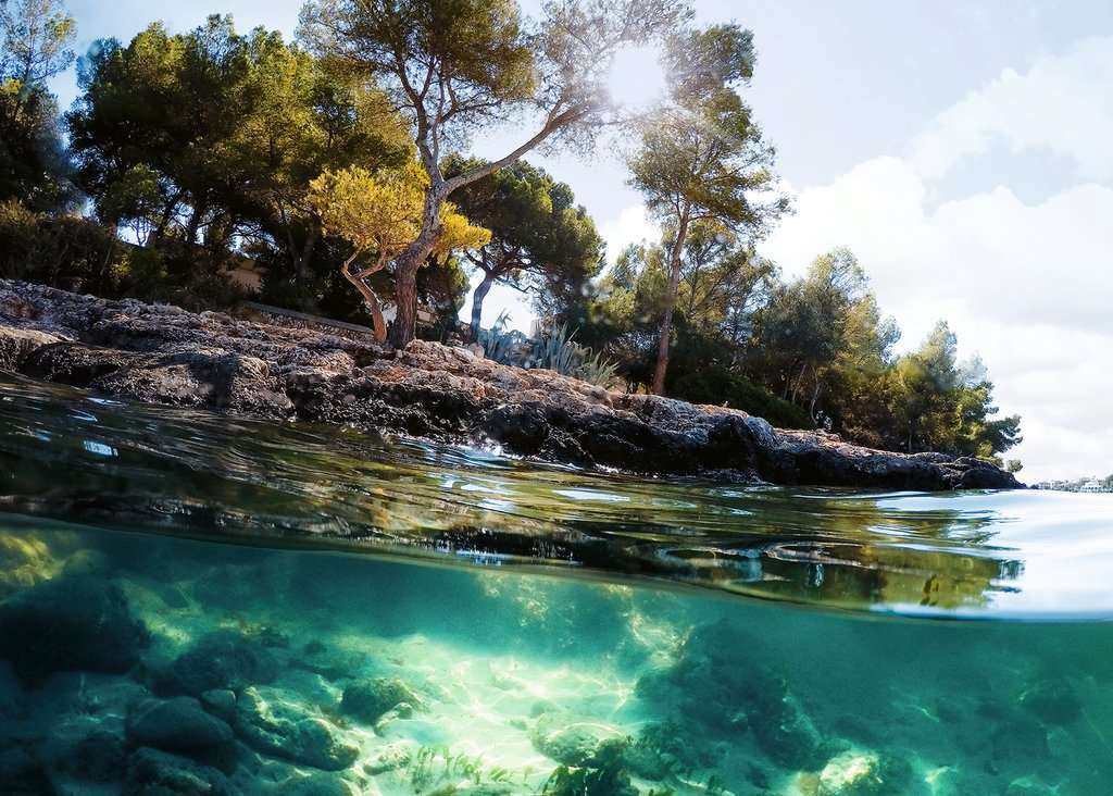 Points Of View - 1000pc - Image 2