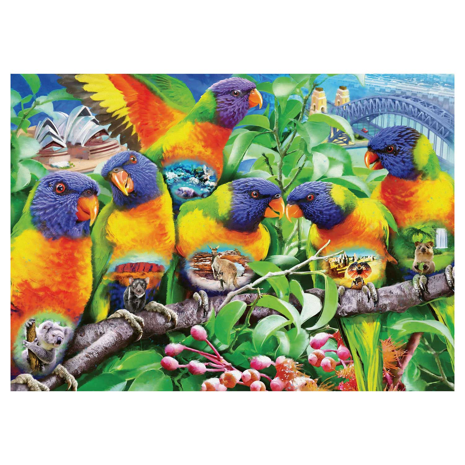 Land of the Lorikeet - 1000pc - Image 2