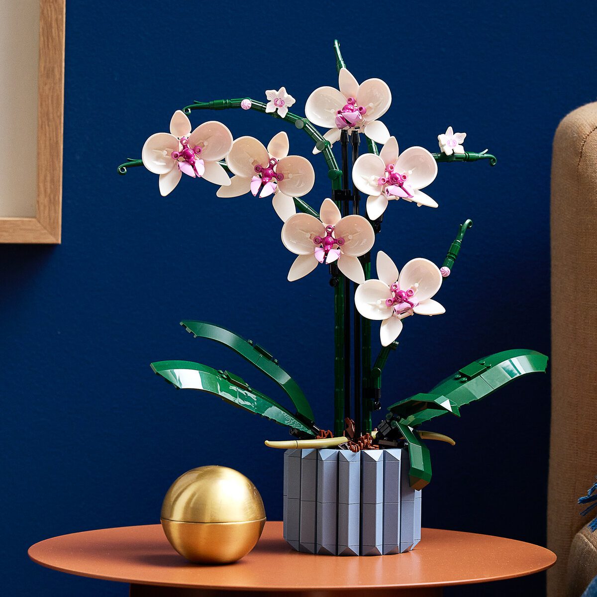 Botanical - Orchid - Image 6