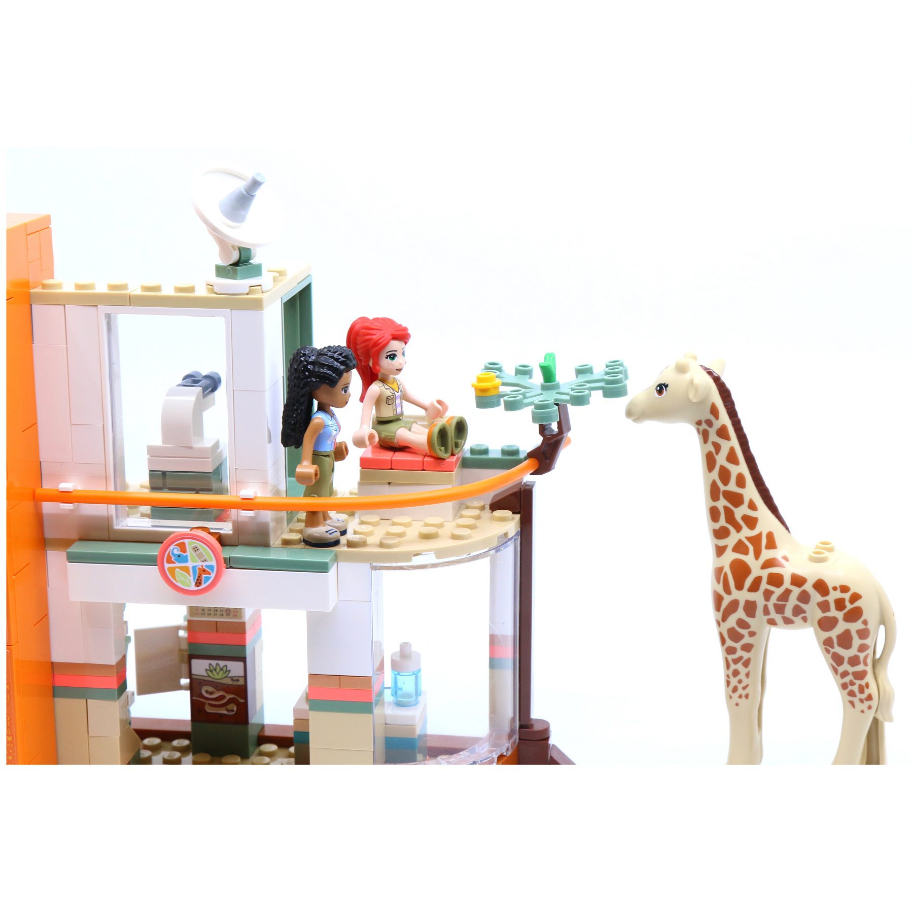 Friends - Mias Wildlife Rescue - Image 4