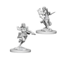 Nolzurs - Air Genasi Female Rogue