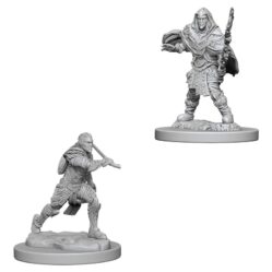 Nolzurs - Male Elf Fighter