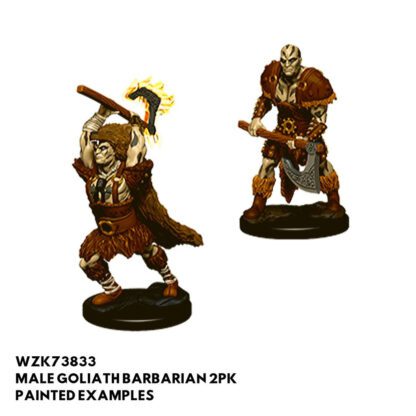 Nolzurs - Male Golaith Barbarian - Image 3