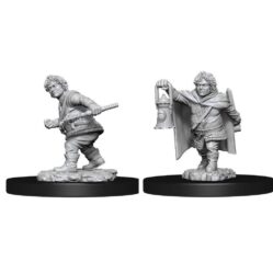 Nolzurs - Male Halfling Rogue