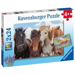 Horse Friends Puzzle 2x24pc