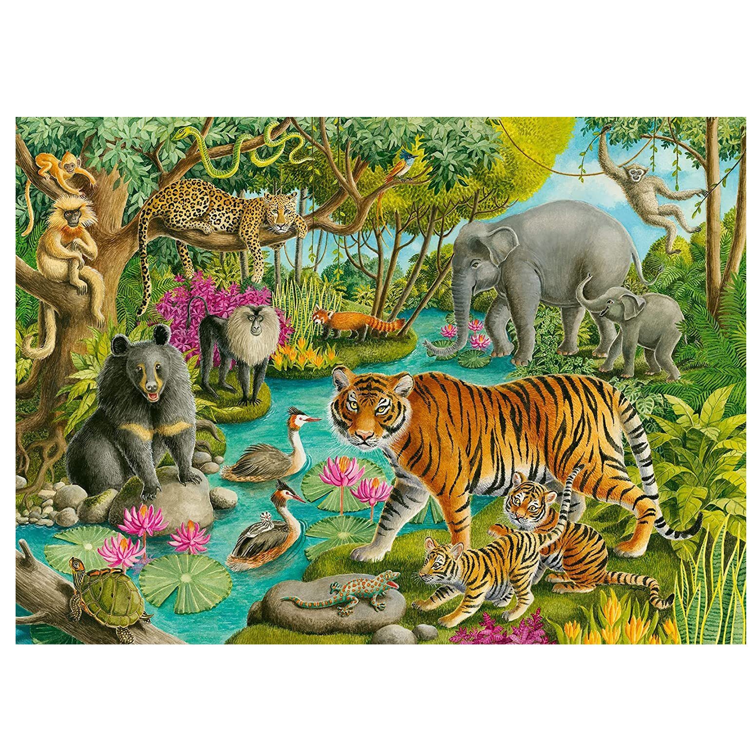 Animals of India Puzzle 60pc - Image 2