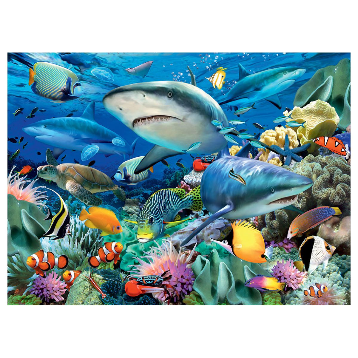 Reef Of Sharks - 100pc - Mind Games