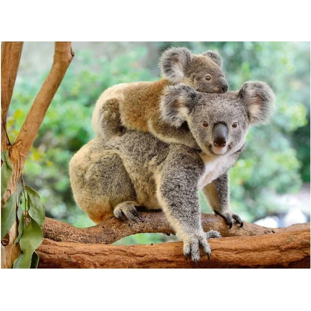 Koala Love - 200pc - Image 2