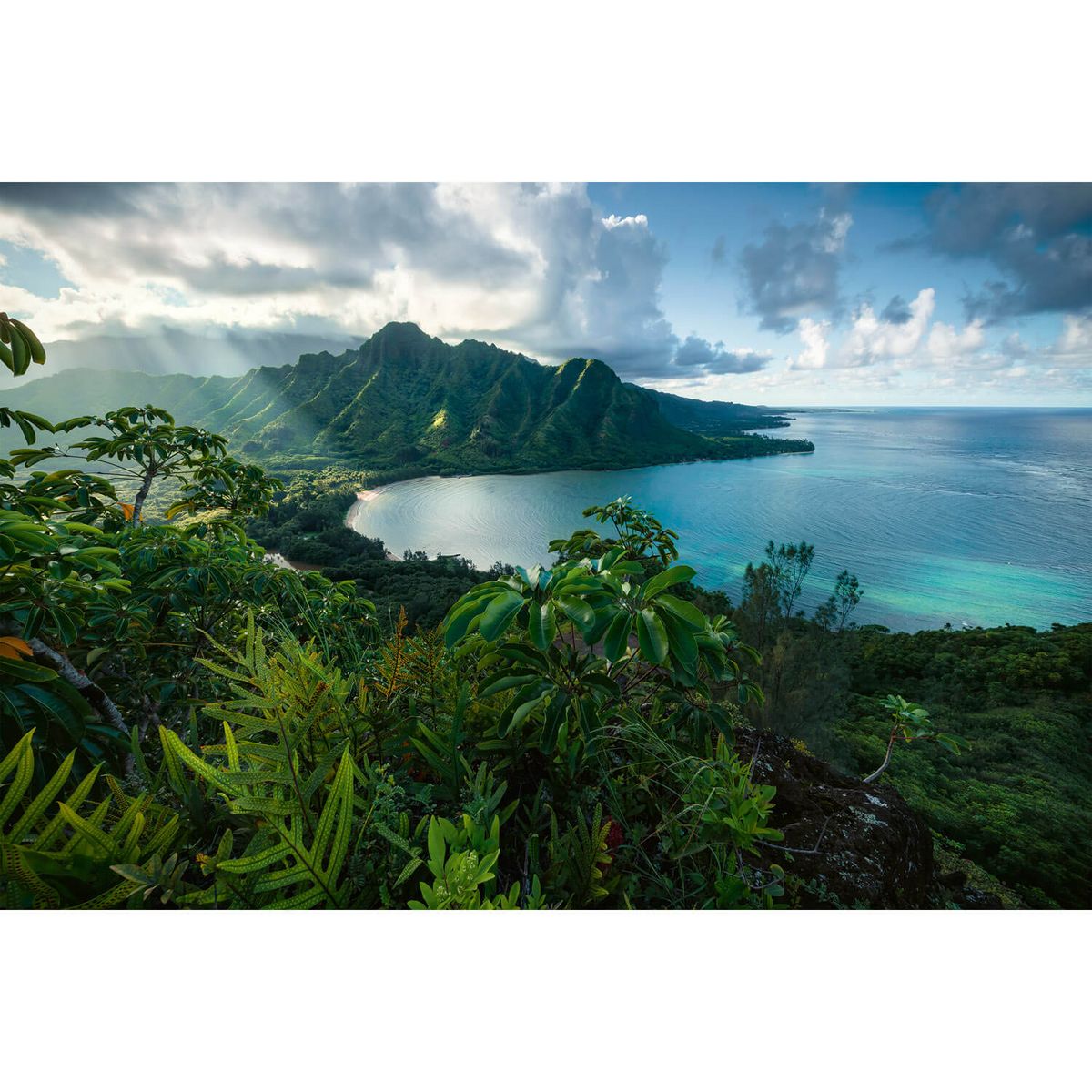 Hawaiian Viewpoint - 5000pc - Image 2