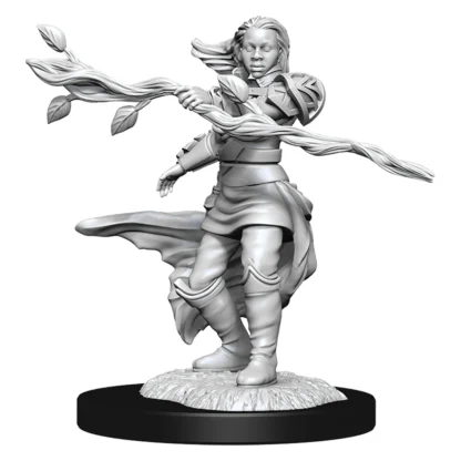 Nolzurs - Human Druid Female - Image 2
