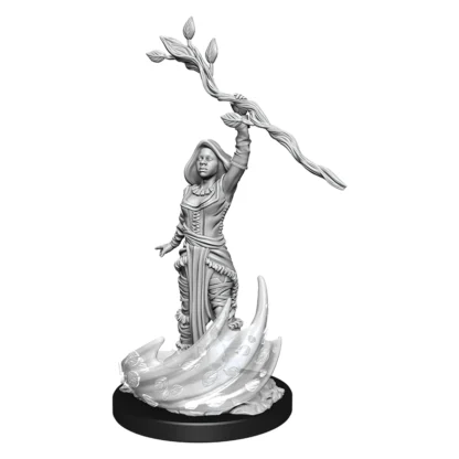 Nolzurs - Human Druid Female - Image 3