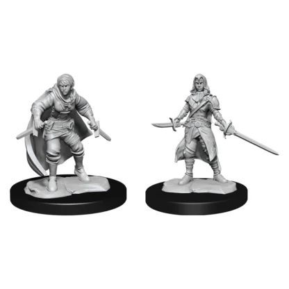 Nolzurs - Half-Elf Rogue Female