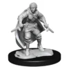 Nolzurs - Half-Elf Rogue Female - Image 2