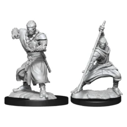 Nolzurs - Warforged Monk