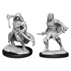 Nolzurs - Warforged Rogue