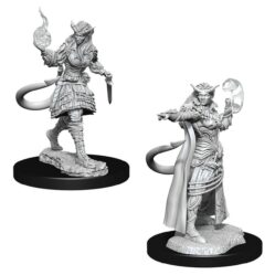 Nolzurs - Tiefling Sorcerer Female
