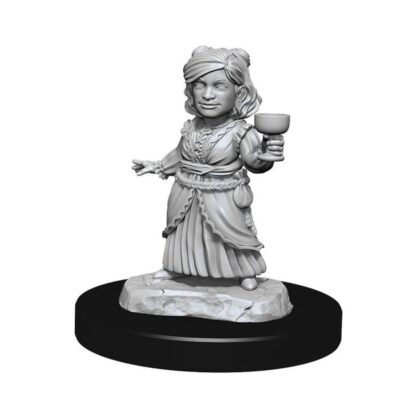 Nolzurs - Silver Dragon Wyrmling & Female Halfling - Image 4