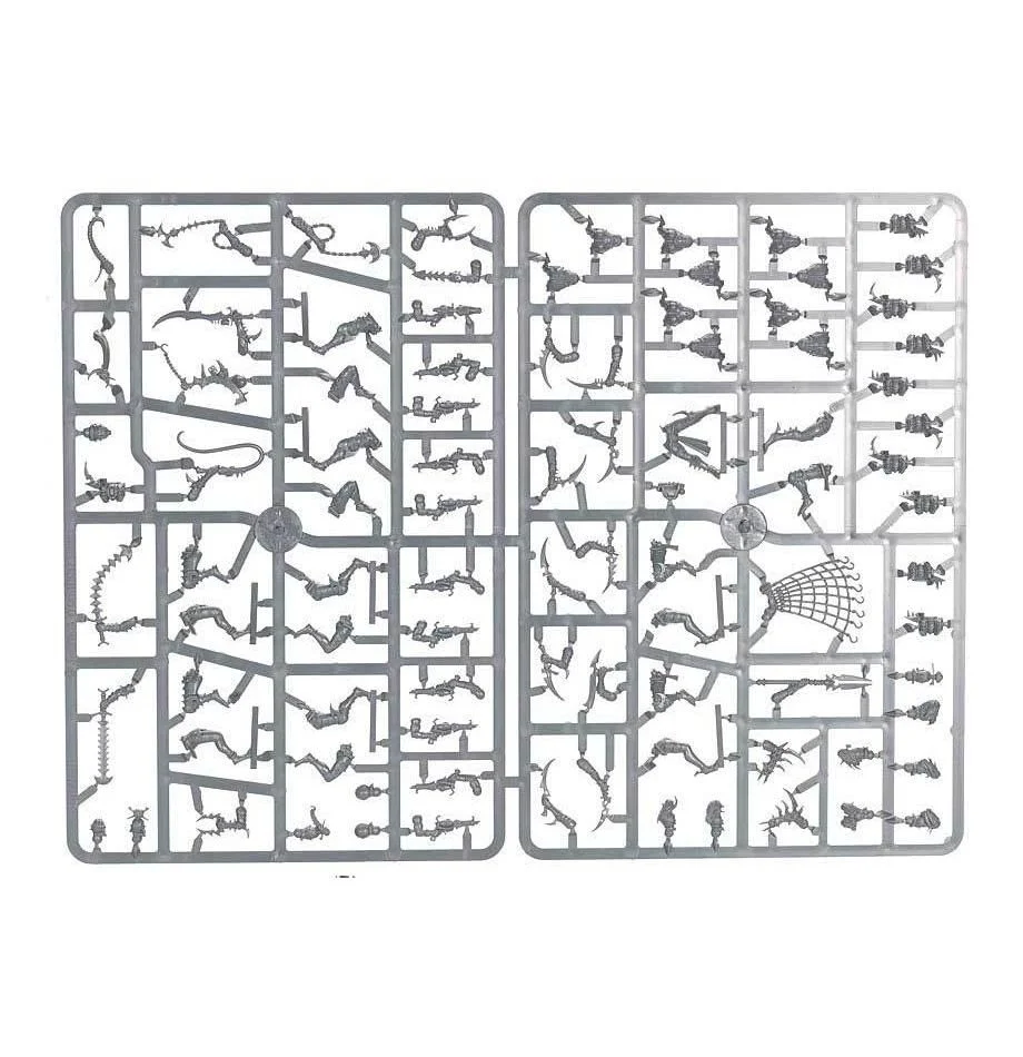 45-08 Drukhari Wyches 2021 - Image 5