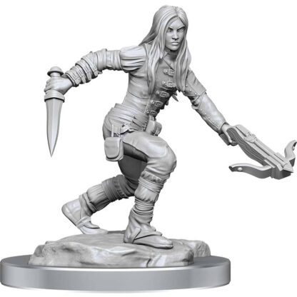 Nolzurs - Half Elf Rogues - Image 2