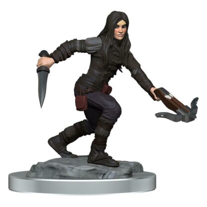 Nolzurs - Half Elf Rogues - Image 3