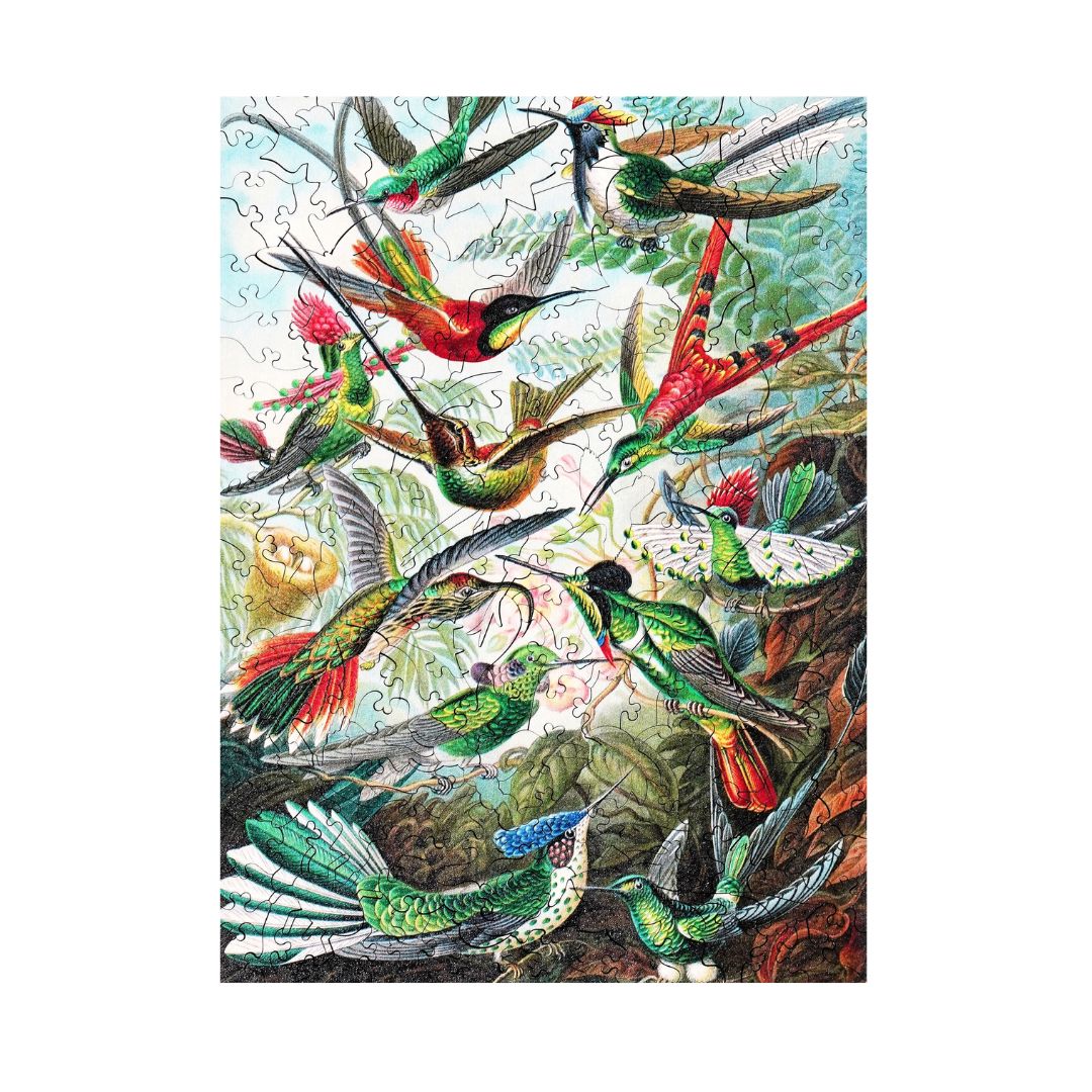 Hummingbirds (Ernst Haeckel) - Wooden Jigsaw Puzzle - 228pc - Image 3