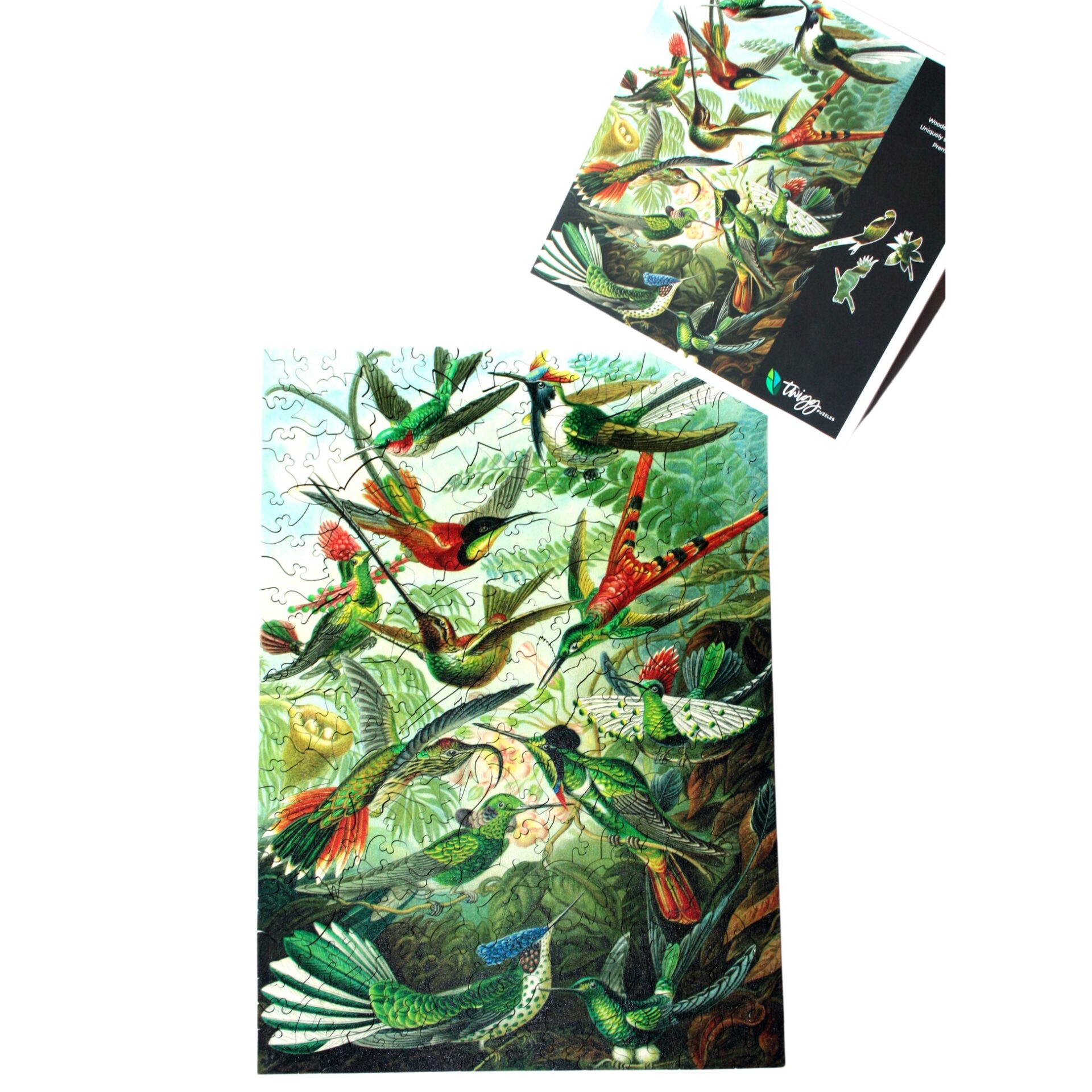 Hummingbirds (Ernst Haeckel) - Wooden Jigsaw Puzzle - 228pc - Image 6