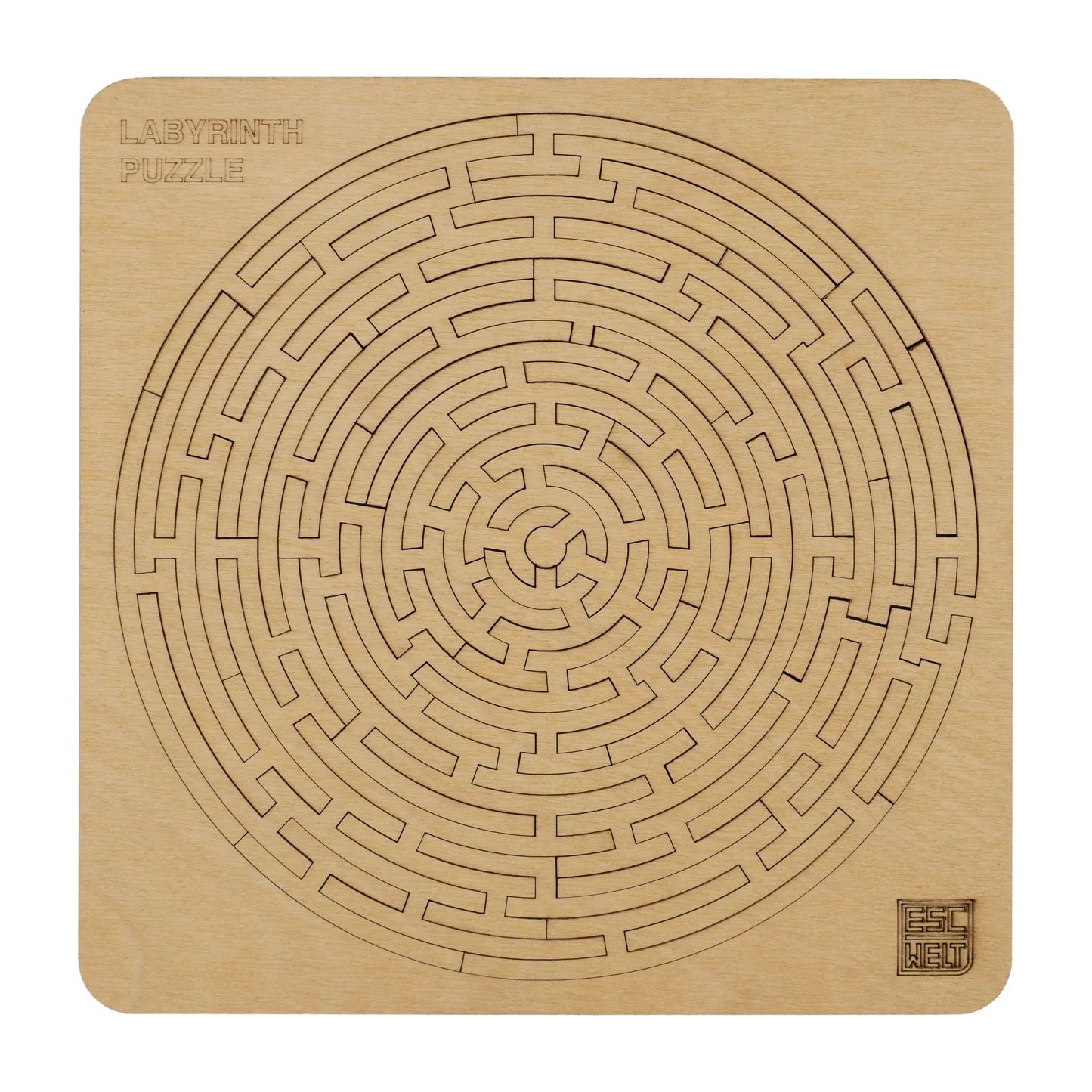 Labyrinth Puzzle - Mind Games
