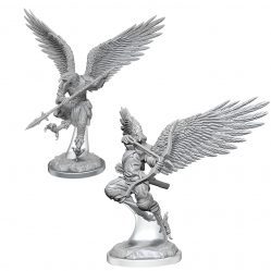 Nolzurs - Aarakocra Fighters