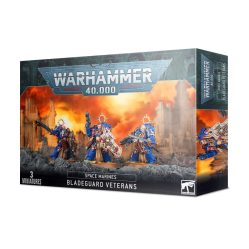 48-44 Space Marine Bladeguard Veterans