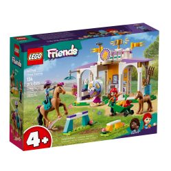 Friends - Horse Training