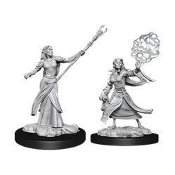 Nolzurs - Female Elf Sorcerer